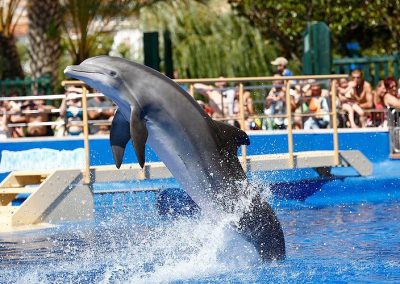 MARINELAND TOSSA DE MAR PARADIS BLAU VIT EXPERIENCE